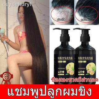 【เร่งผมยาว】แชมพูขิงเพียว แชมพูแก้ผมร่วง ยาสระผมเร่งยาว 300ml ขิงเพียวเซรั่ม ผมยาวเร็ว ป้องกันผมบางและผมร่วง ขจัดรังแค ยา