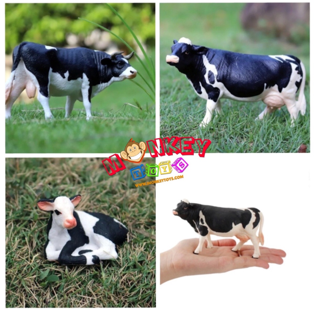 Monkey Toys - โมเดลสัตว์ Cow วัว นม ขาวดำ พ่อแม่ลูก ชุด 4 ตัว (จากหาดใหญ่) - รูปที่ 6