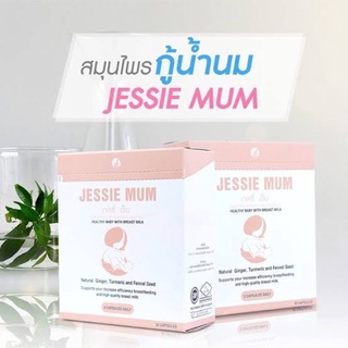 ส่งฟรี ด่วน 1-2 วัน‼️ Jessie Mum สมุนไพรเพิ่มน้ำนม อาหารเสริมเพิ่มน้ำนม ฟื้นฟูร่างกาย เพิ่มนม เจสซี่ มัม ของแท้