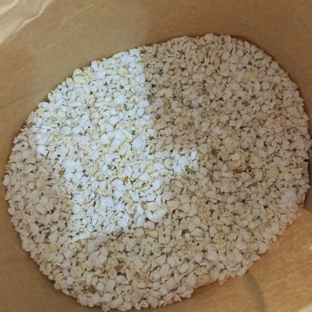 ข้าวตอกใหม่ ข้าวตอกไม่มีมอด เลี้ยงกระดิ่ง