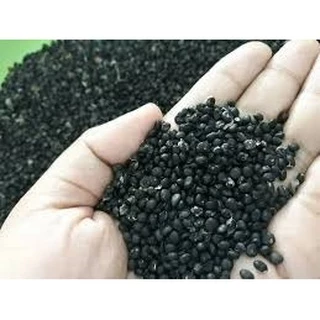 เมล็ดพันธุ์ หน่อไม้ฝรั่ง ชุดละ 5000 เมล็ด พันธุ์ดีงอกง่าย ️โตไว️พุ่มใหญ่ทานอร่อย