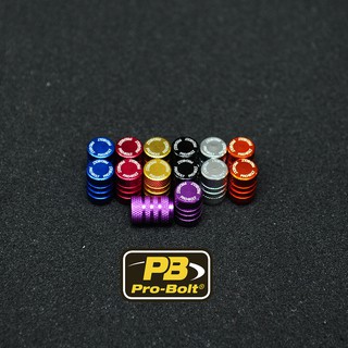 Pro-Bolt อลูมิเนียม จุกลมสกรีน Pro-Bolt