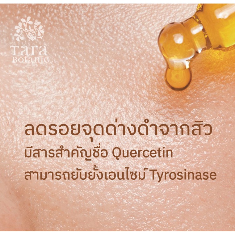 Rose Hip Oil Extra Virgin Cold-pressed น้ำมันโรสฮิปออย์ รูปที่ 5