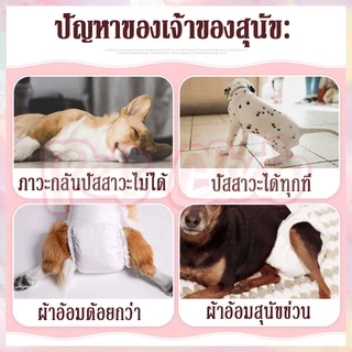 🐶พร้อมส่ง😻ผ้าอ้อมสัตว์เลี้ยง สำหรับสุนัขและแมว S/M/L/XL ผ้าอ้อมสุนัขเพศผู้ ผ้าอ้อมแมว