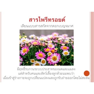 แผ่นกันมด PUPPE / Passie Pet ปลอดภัยต่อมนุษย์และสัตว์เลี้ยงลูกด้วยนม เห็นผลภายใน 1-10 วัน 🐜