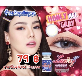 คอนแทคเลนส์ 🎀 Mini Honey Bee Gray 🎀(Luxzylens) มีค่าสายตาสั้นถึง 700💝สีเทาขนาดมินิสวยขายดี