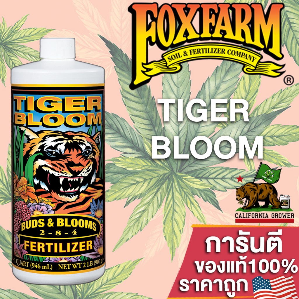 Fox Farm Tiger Boom (284) ขนาดแบ่งขาย 50ML/100/250ml Shopee Thailand