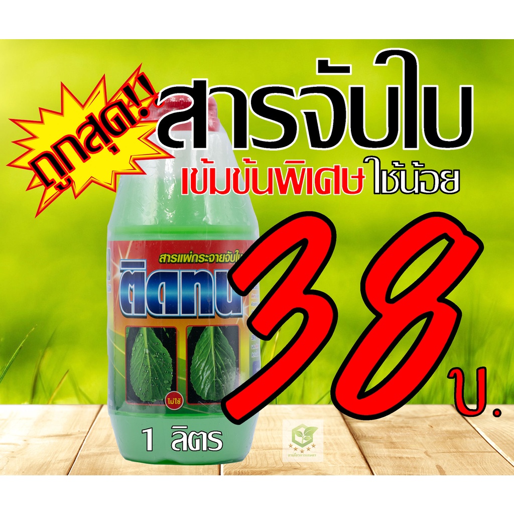 //ยกลัง15ขวด// 1 ลิตร ติดทน  จับดี จับใบ ติดทนนาน ขับใบ ติดนาน สารเคลือบใบ ยาจับใบ จับใบ แอ็ปซ่า แอปซ่า