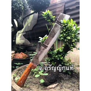 มีดหัวตัด มีดเดินป่า เหล็กใบเลื่อยหินอ่อน ใบยาว 11 นิ้ว มีดอรัญญิก จ้อย อรัญญิกแท้ #ทำสวน #เดินป่า #มีดเดินป่า