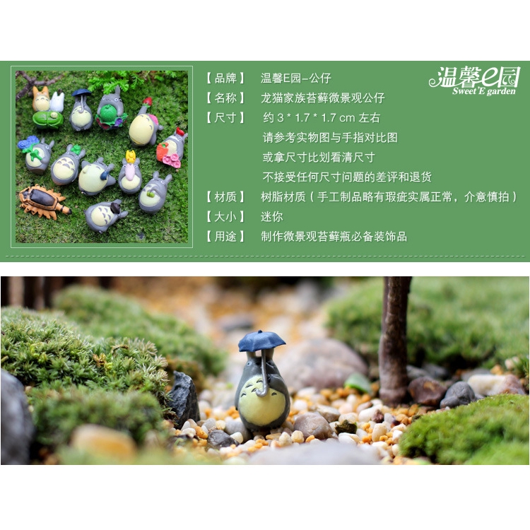 12 ชิ้น Totoro ตุ๊กตาเครื่องประดับ Moss micro ภูมิทัศน์เครื่องประดับกระถางต้นไม้เดสก์ท็อปตกแต่งอุปกรณ์เสริม - รูปที่ 2