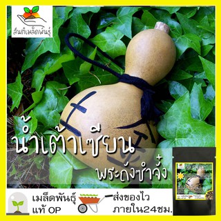 เมล็ดพันธุ์ น้ำเต้าเซียน พระถังซำจั๋ง 10 เมล็ด Bottle Gourd Seed เมล็ดพันธุ์แท้100%นำเข้าจากต่างประเทศ ปลูกผัก สวนครัว