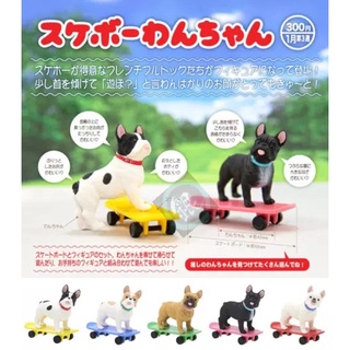 หมา สเก็ตบอร์ด skateboard ของจิ๋ว french bulldog เฟรนช์ บูลด็อก