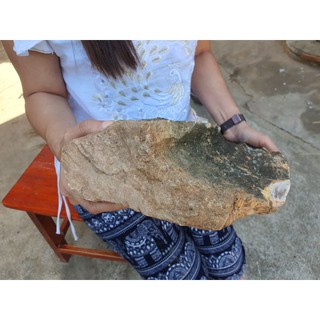 ไม้กลายเป็นหิน (petrified wood) ขนาด 23×40 หนัก 9 กิโลกรัม