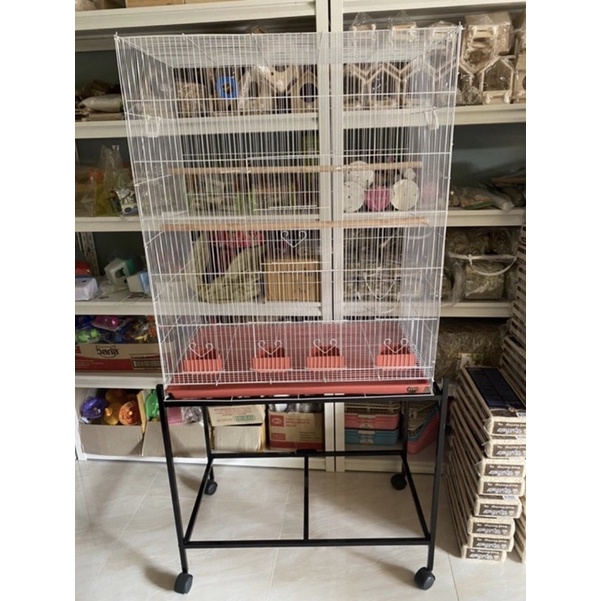 My Image 10