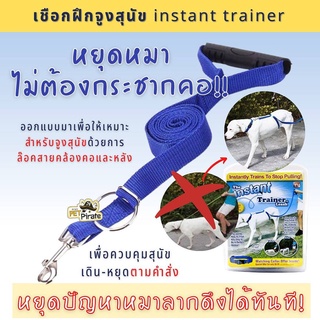 Instant Trainer สายจูงหมา เชือกฝึกหมา หยุดหมาไม่ต้องกระชากคอ หยุดปัญหาหมาลากดึงได้ทันที! สายจูงสำหรับฝึกสุนัข