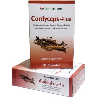 Herbal One Cordyceps-Plus ตังถั่งเฉ้า พลัส 30 แคปซูลx1 กล่อง ลดอาการของโรคภูมิแพ้ หอบ ต่อต้านอนุมูลอิสระ หลอดลมอักเสบ