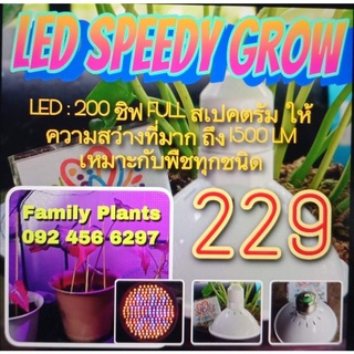 LED Speedy Grow : ไฟเร่งการเจริญเติบโตและสังเคราะห์แสง ไฟสีม่วง ไฟต้นไม้