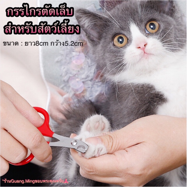 กรรไกรตัดเล็บสัตว์เลี้ยง ตัดเล็บแมว ตัดเล็บสุนัข ( พร้อมส่ง )