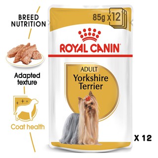 Royal Canin Yorkshire Terrier pouch อาหารเปียก แบบซอง สำหรับสุนัขสายพันธุ์ยอร์กไชร์เทอร์เรีย x 12ซอง