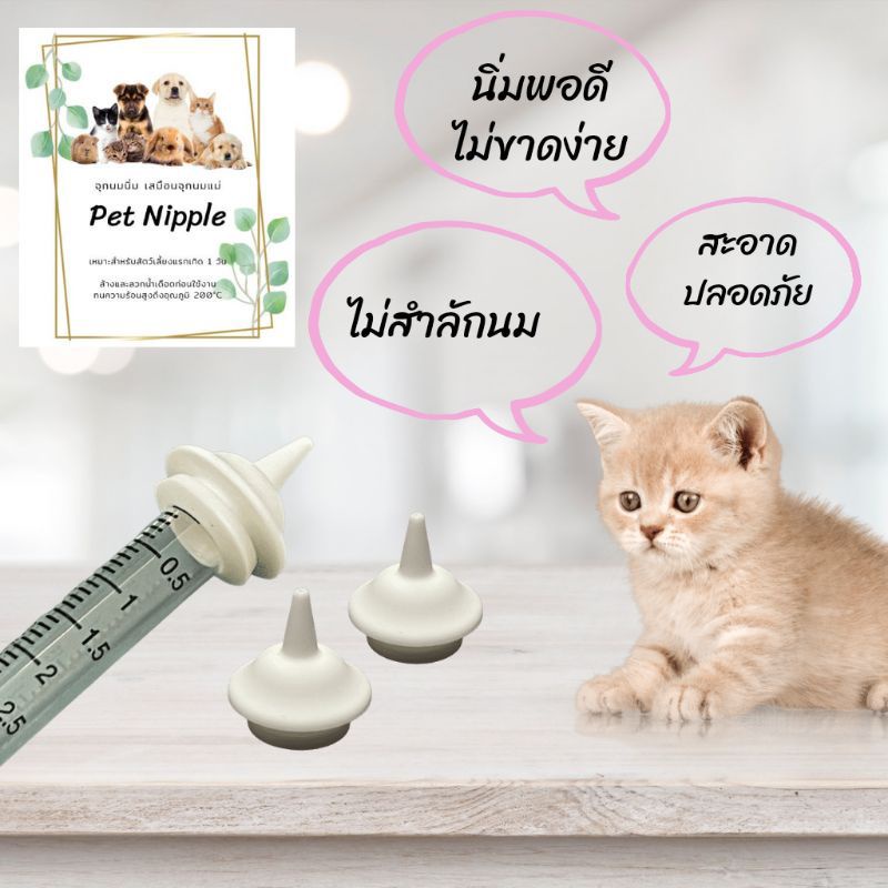 จุกป้อนนมแมว Pet Nipple (ชุดขวดนม) ใช้ได้กับ สัตว์เลี้ยงแรกเกิด แมว สุนัข กระรอก กระต่าย สัตว์ฟันแทะ