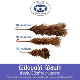 ไม้ขนไก่ขนธรรมชาติ Feather duster( มี3ขนาด 40,60,70 CM.  )