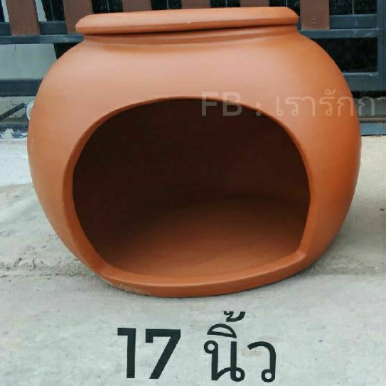 My Image 65