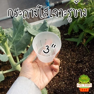กระถาง ใส เจาะรูข้าง แพ๊คละ 10 ชิ้น มี 3 ขนาด 3,4,5 นิ้ว สามารถมองทะลุ เห็นรากที่เกิดขึ้นมาได้