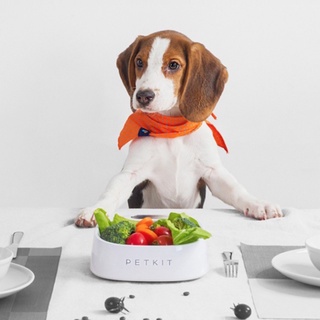 ชามใส่อาหารสุนัข PETKIT FRESH Small Digital Scale Pet Bowl Anti-Bacterial + Waterproof ชามอาหารสัตว์เลี้ยง ชามหมา ชามแมว
