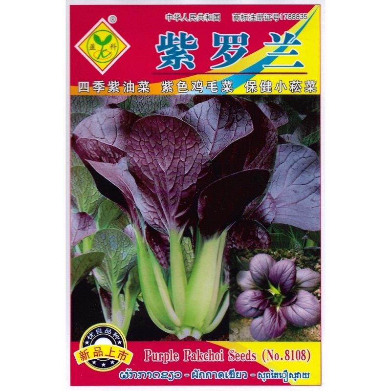เมล็ดพันธุ์ ผัก กวางตุ้ง ฮ่องเต้ ใบม่วง Purple Pakechoi 750 เมล็ด