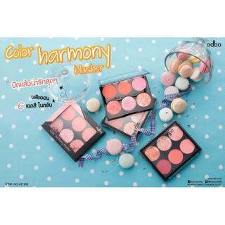 odbo color harmony blusher  บลัชออนเนื้อแมท. OD166. ทักมาจ้า