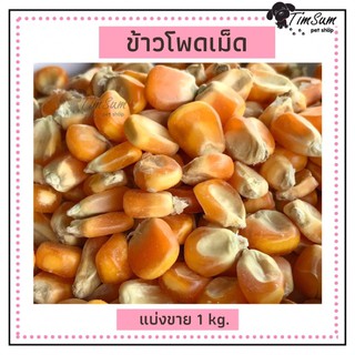 ข้าวโพดเม็ดสำหรับสัตว์เลี้ยง ขนาด 1 kg.