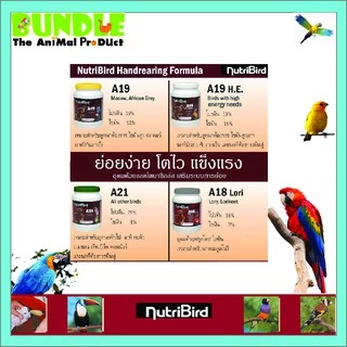 NutriBird A19 800 g. อาหารนกลูกป้อน อาหารลูกป้อน สำหรับลูกนกที่ต้องการพลังงานไขมันสูง ขนาด 800 กรัม