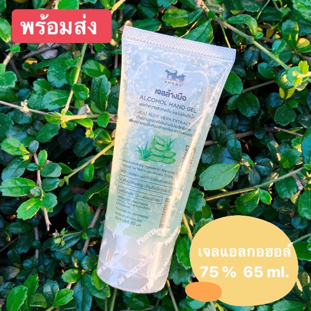 เจลแอลกอฮอล์ 75%  65 ml. 💦 พร้อมส่ง 🔥🔥🔥