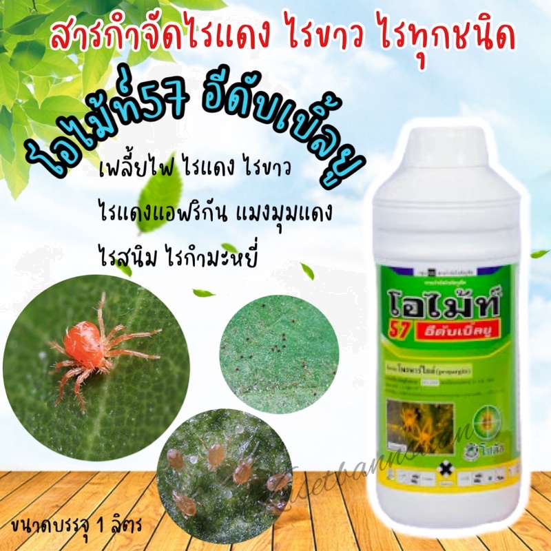 โอไม้ท์57 #โพรพาไกต์ กำจัดไรแดง ไรขาว แมงมุมแดง ไรทุกชนิด #โพรพาไกด์ #ยาไรแดง