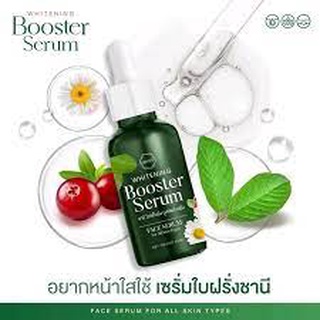 เซรั่มใบฝรั่ง ชานี CHANY Booster Serum