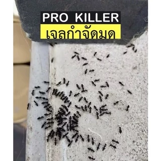 เจลกำจัดมด 50 กรัม PRO KILLER เจ้าของแบรนด์