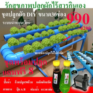 ชุดปลูกผักไฮโดโปรนิกส์ DIY