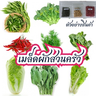 เมล็ดพันธุ์ผัก เมล็ดผัก เมล็ดผักสวนครัว เมล็กผักพื้นเมือง ปลูกง่ายโตไว ผลผลิตดี