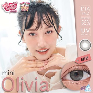 mini Olivia Gray | Kitty Kawaii Plus เลนส์กรองแสง กันยูวี {สายตา -50 ถึง -650 }