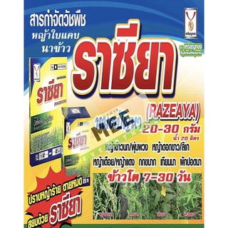 สารฆ่าหญ้า เหมือนข้าว ฆ่าหญ้านาข้าว หญ้าใบแคบ ใบแหลม หญ้าข้าวนก ตายหมด ข้าวไม่แดง ไม่งัน ราซียา 100 กรัม ฟรีจับใบเกรดA