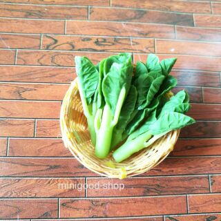 #ผักจิ๋ว #ของจิ๋ว #ผักคะน้าจิ๋ว  1ต้น สเกล1:12 #Miniature vegetables  #งานปั้นจิ๋ว ละเอียด