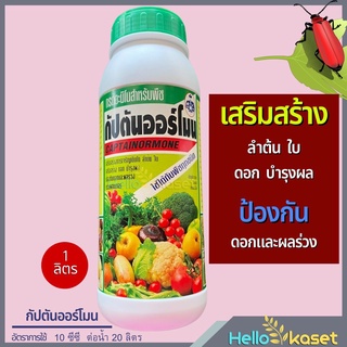 กัปตันฮอร์โมน เป็นกรดอะมิโน สำหรับพืช สูตรเข็มข้น ใช้ได้กับพืชทุกชนิด สารการเจริญเติบโต ลำต้น ใบ ดอก บำรุงผล ช่วยผสมเกสร