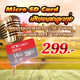 Micro SD Card ฟังเพลงลูกทุ่งเก่าๆลูกกรุงเก่าๆ เสียงชัด เพลงเยอะ เสียบได้ทุกที่