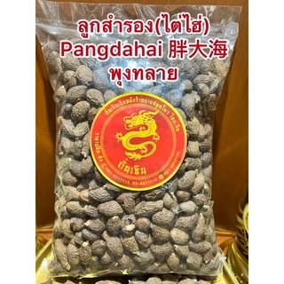 ลูกสำรอง (ไต่ไฮ่) Pangdahai 胖大海 พุงทลาย