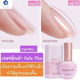 KAL002 เจลหลังเต่า แบรนด์ Kale Plus