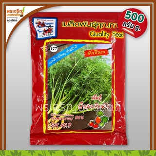 เมล็ดพันธุ์ผักชี ผักชีลาว ป๊อกเก้าเด้ง Dill NO.9 กอใหญ่ (500 กรัม) เมล็ดผักชีปลาทอง เมล็ดพันธุ์ผักสวนครัว ตราปลาทอง