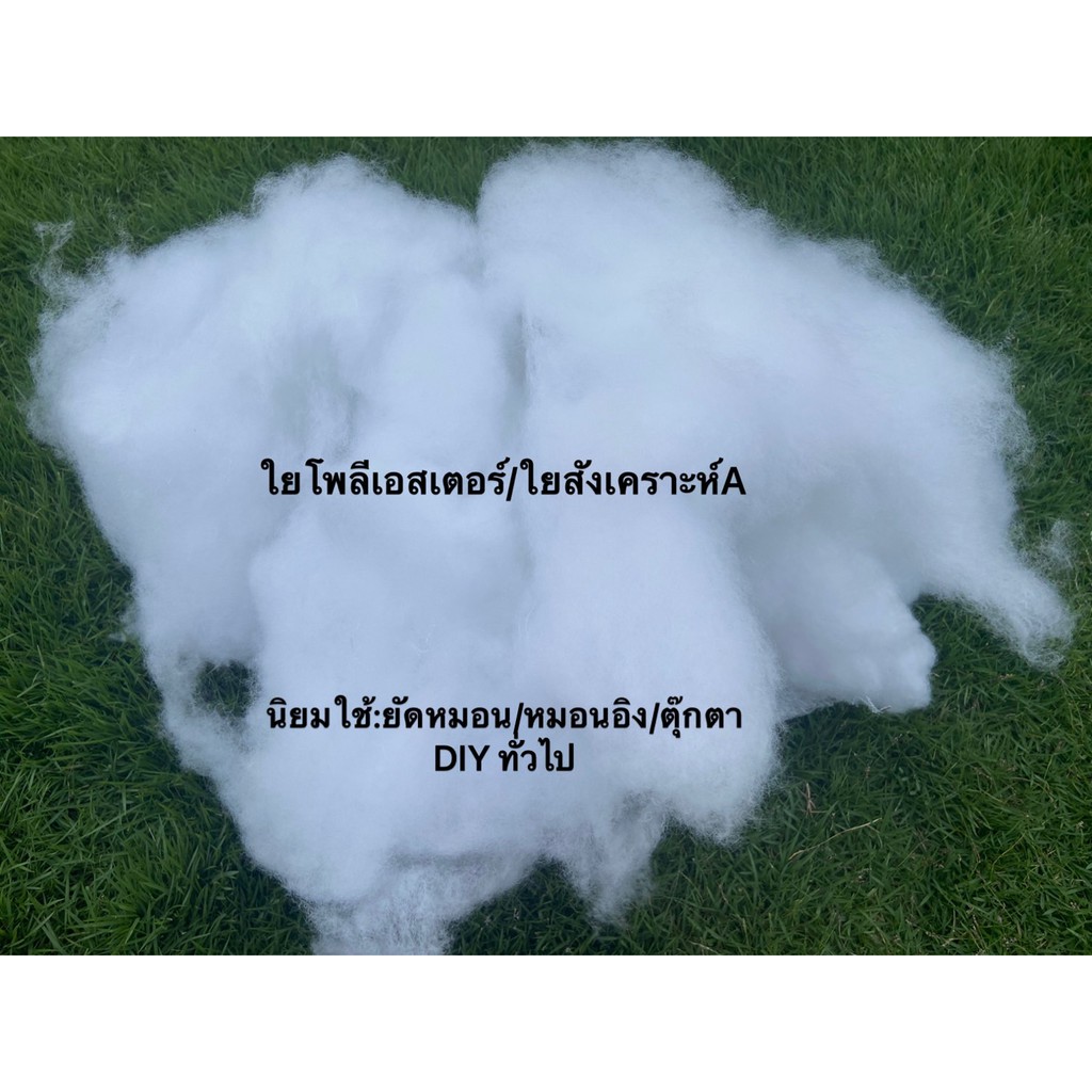 รูปภาพ 5