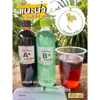 ปุ๋ยAB ปุ๋ยเอบีใหม่‼️คุ้มกว่า💥สูตรใหม่เพิ่มธาตุเหล็ก💥ชุด500ml ปุ๋ยไฮโดรโปนิกส์ ปุ๋ยน้ำ สำหรับปลูกผักไร้ดิน สลัด ผักไทย