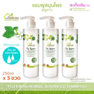 บ้านหมอละออง แชมพูสมุนไพร พลูคาว 250ml แชมพู อ่อนโยนกับศีรษะ มีรังแค สะเก็ดเงิน ใช้ได้ แชมพูพลูคาว แอ๊ดวานซ์ Advanced