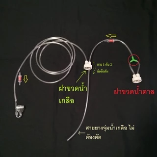 Co2 คาร์บอนยีสต์ DIY สำหรับมือใหม่เริ่มต้น ราคาย่อมเยา